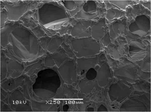 Dobry przykład rodzimej innowacyjności